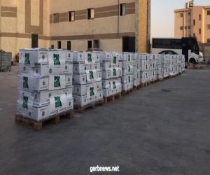 مصر الخير تشارك بـ ٣٠ طن مساعدات غذائية  عاجلة لمساعدة الاشقاء بالسودان