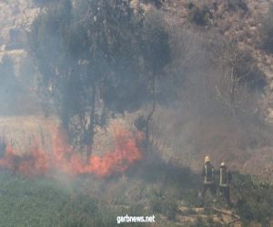 اندلاع حريق في منطقة مكسوة بالأشجار في جبل " فران "