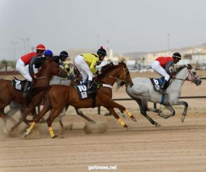 أكثر من 45 جواداً يتنافسون غداً الثلاثاء على ميدان الفروسية بمحافظة العقيق بالباحة