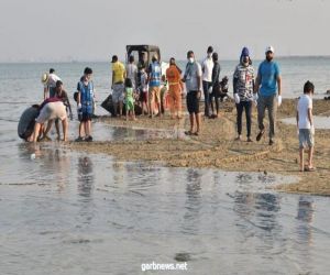 بمشاركة 300 متطوع.. بلدية تاروت تبدأ حملة لتنظيف شاطئ الرملة