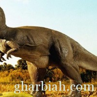 هكذا كان يمشي ديناصور السعودية قبل 72 مليون سنة