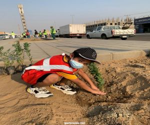 أمانة جدة والبيئة يطلقون حملة لنجعلها خضراء