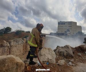 حرائق الغابات تصل إلى لبنان والدفاع المدني يعلن أن الوضع جنوني
