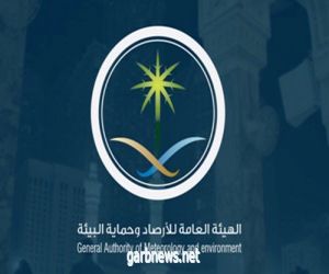 الأرصاد تنفذ دورة تدريبية لمنسوبي وسائل الإعلام بجازان