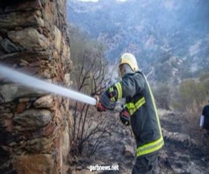 الدفاع المدني والجهات المساندة تواصل جهودها في إخماد حرائق الغابات بتنومة