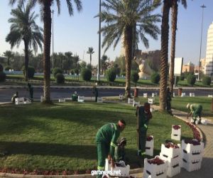زراعة 35 ألف زهرة على طريق المسجد الحرام وميدان زمزم
