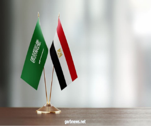 مباحثات مصرية سعودية لزيادة الاستثمار بين الجانبين
