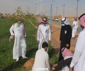 بلدية زلوم تنفذ المرحلة الثالثة من مبادرة الجوف واحة خضراء