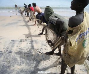 مرض مجهول يفتك بعشرات الصيادين في السنغال