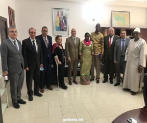 السفارة المصرية في غينيا تستقبل وفداً مصرياً لبحث التعاون الثنائي في مجال الطاقة