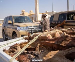 "الأمن البيئي" تضبط 16 طنًّا من الحطب المحلي المعدّ للبيع في الرياض
