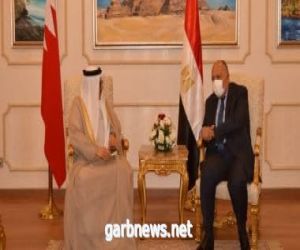 شكرى يؤكد لوزير خارجية البحرين دعم مصر لأمن واستقرار الخليج العربى