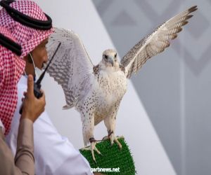 ارميزان الدوسري.. صائد ١٠ كؤوس يتطلع لإنجاز جديد في مهرجان الصقور