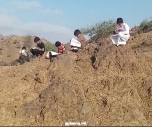 صورة.. طلاب بمحافظة البرك يضطرون لمتابعة دروسهم على أحد الجبال بسبب ضعف شبكة الإنترنت