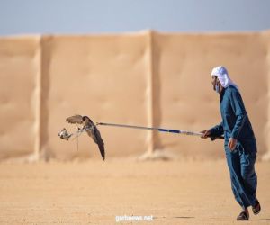 انطلاق الأشواط النهائية بمهرجان الصقور بمشاركة السعوديين والدوليين