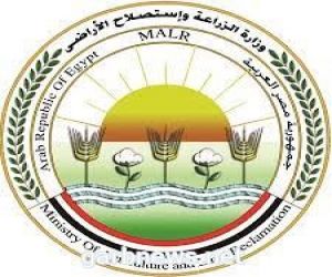 "الامارات" تعلن رسميا  موافقتها على استيراد الماشية الحية من مصر