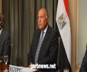 الخارجية المصرية تدين استهداف مطار عدن أثناء وصول طائرة الحكومة اليمنية الجديدة