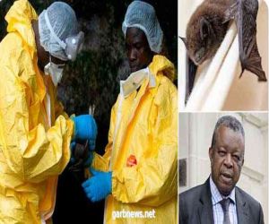مكتشف الإيبولا يحذر.. فيروسات قاتلة جديدة ستصيب البشرية