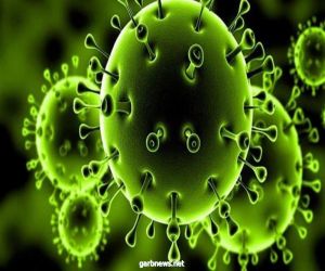 الصين تسجل 53 إصابة جديدة بفيروس كورونا المستجد