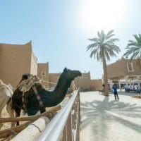 في يوم التراث العالمي.. التراث السعودي يشهد نقلة وتحولًا نوعياً