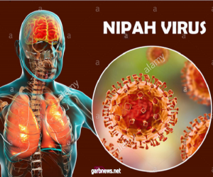 #تحت_الأضواء :  ياشر الشربيني :  "فيروس نيباه من الطبيعة وليس مصنعا من قبل أحد، وأنه موجود منذ العام 1994".