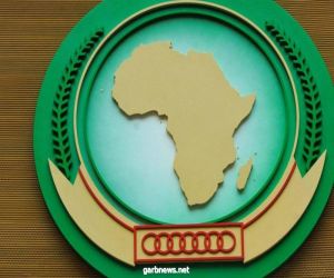 قمة إفريقية عبر الإنترنت تبحث كوفيد والنزاعات
