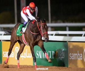 كأس السعودية" مستقبل صناعة الخيل المحلية بــ "ديربي السعودية"