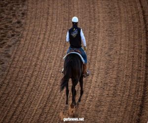 نادي سباقات الخيل يعلن عن 14 شوط  القرعة النهائية لأشواط أمسيتي "كأس السعودية