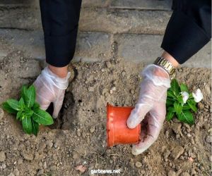 متطوعات العاصمة المقدسة يشاركن في زراعة النباتات في حدائق مكة