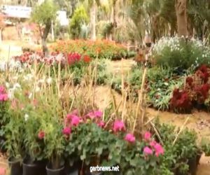 "الزراعة" تصدر انفوجراف وفيديو بابرز المعلومات حول حديقة الاورمان النباتية ومعرض زهور الربيع
