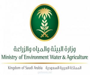 “البيئة”: حفر 9 آبار لدعم مصادر المياه في المنطقة الشرقية