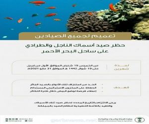 "البيئة" تحظر صيد أسماك الناجل والطرادي على ساحل البحر الأحمر لمدة شهرين