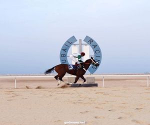 ميدان فروسية الجبيل يقيم سباقه الـ ١٥ للموسم الحالي ١٤٤٢هـ