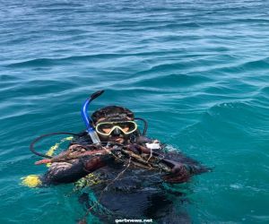 وحدة الثروة السمكية بجزر فرسان تستهدف قاع البحر في أسبوع البيئة