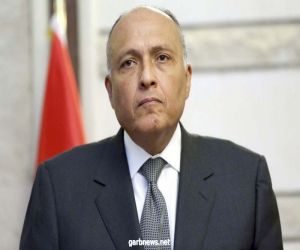 مصر.. وزير الخارجية يتوجه إلى كينشاسا للمشاركة في جولة من المفاوضات حول سد النهضة