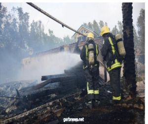 مدني الرياض يباشر إخماد حريق في نخيل وادي حنيفة