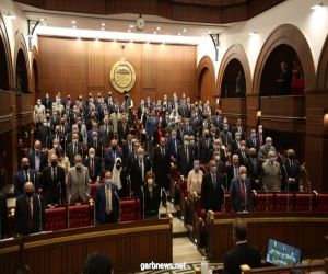 مجلس الشيوخ  المصري يقف دقيقةً حدادًا على أرواح شهداء حادث_قطار_طوخ