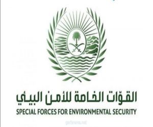 القوات الخاصة للأمن البيئي توقف 32 مخالفاً لارتكابهم مخالفات رعي