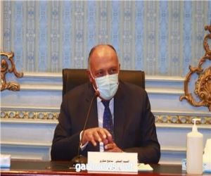 وزير الخارجية المصري أمام "الشيوخ": إثيوبيا رفضت بعض الوساطات الإقليمية والدولية لحل الأزمة