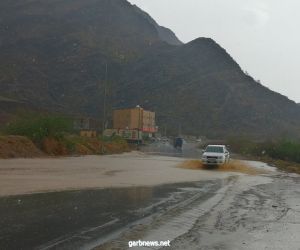 أمطار غزيرة تغمر محايل.. تساقط صخور واقتلاع أشجار وجرف مركبات