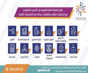 "هيئة الترفيه" تطلق برنامج التدريب التعاوني للطلاب والطالبات في الجامعات