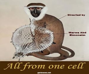 فيلم «الكل من خلية واحدة» نموذج فنى مميز لنقل عالم الحيوان