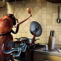 7 أشياء تجذب الصراصير إلى مطبخك