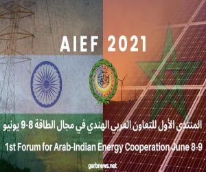 المنتدى العربي الهندي يتفق على تشجيع تجارة الكهرباء الإقليمية والاستخدام الأمثل للطاقة المتجددة