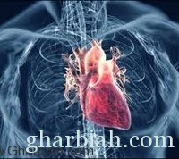 رقاقة جديدة من السيليكون لعلاج أمراض القلب