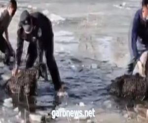 مواطنون ورجال شرطة ينقذون قطيع أغنام من الغرق في نهر جليدى بالصين