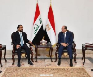 السيسي يؤكد موقف مصر لوحدة العراق ومساندته لاستعادة الأمن والاستقرار