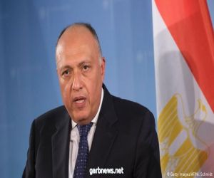أبرز تصريحات وزير الخارجية المصري، سامح شكري، خلال جلسة مجلس الأمن الخاصة بسد النهضة