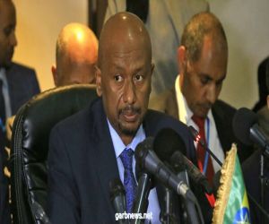 أبرز تصريحات وزير الري والطاقة الإثيوبي خلال جلسة مجلس الأمن الخاصة بسد النهضة