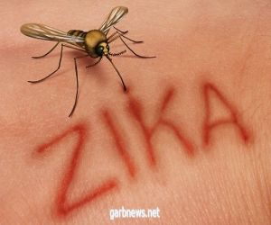 الهند :  تسجل أول حالة إصابة بفيروس “زيكا”